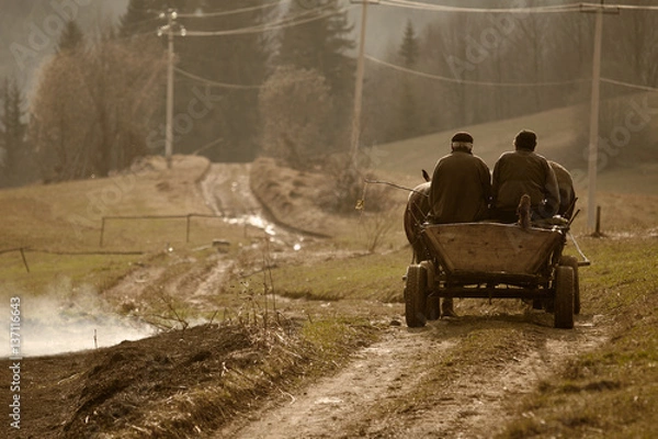 Obraz People in the cart driving on a rural road