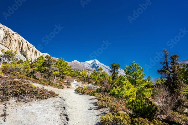 Fototapeta Annapurna circuit trekking. An old trekking route from Humde to Manang and Pisang peak on the horizon. Autumn landscape in Himalaya mountains, Nepal.