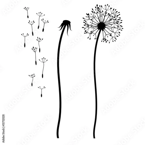 Obraz Bastelset Busteblume
