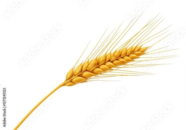 Fototapeta Golden Wheat Stalk High-Resolution Macro Photography of Agricultural Harvest isolated on white background