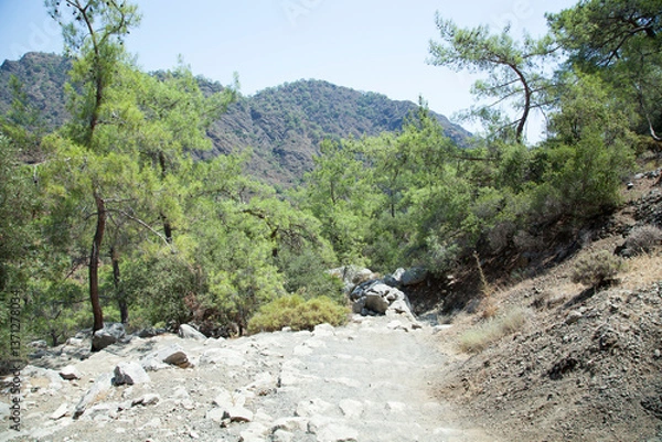 Obraz Steps Down From Mount Chimaera