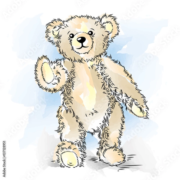 Obraz Drawing Teddy Bear. Color vector illustration