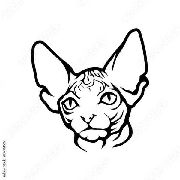 Fototapeta cat logo