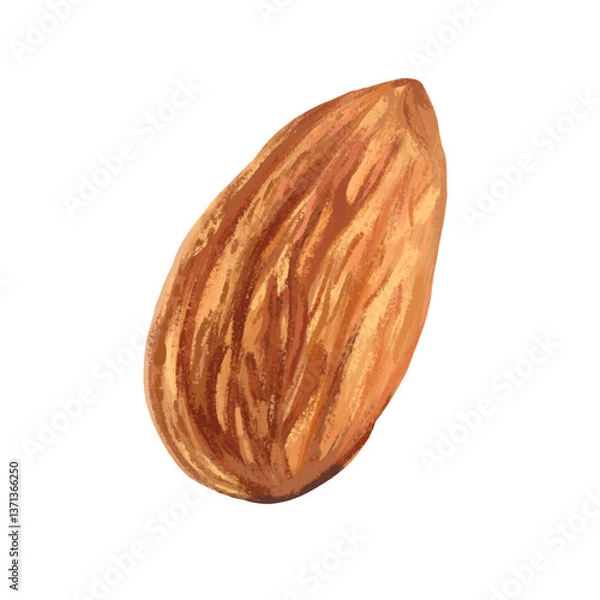 Obraz Illustration of a close up Almond isolated 