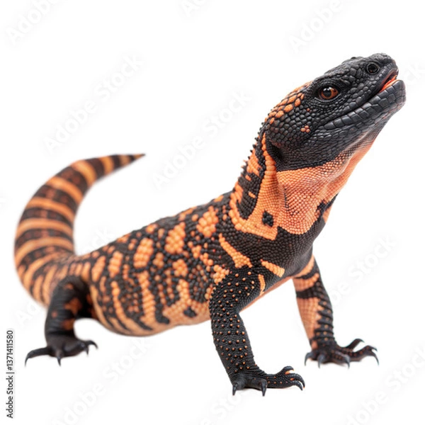 Obraz Gila Monster AI Generated Image