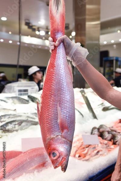 Fototapeta Ruby snapper at a fish market