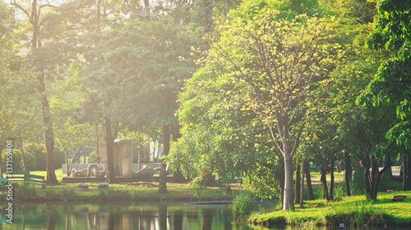 Fototapeta The landscapse nature and sunset in park