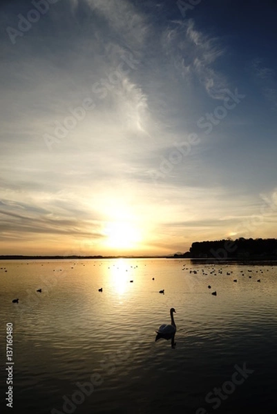 Fototapeta 涸沼の夕景
