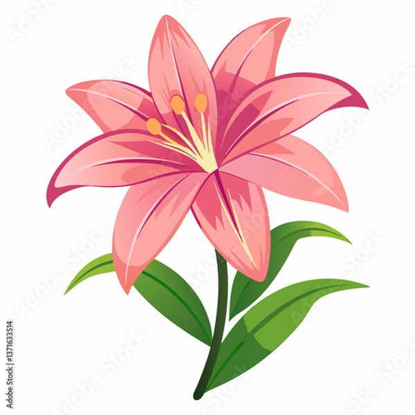 Fototapeta lily flower, isolated vector