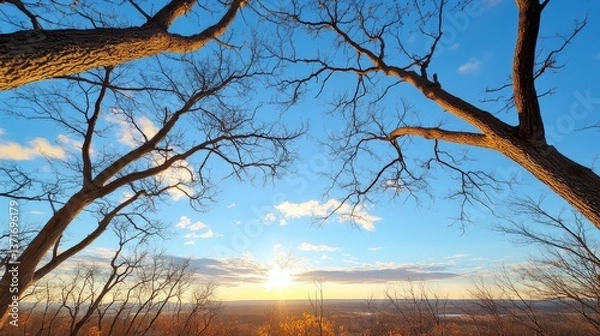 Obraz Autumn Sunset View from Hilltop with Bare Trees