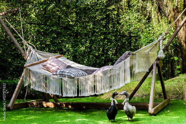 Obraz peaceful Cot relax day