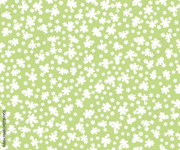 Obraz Floral seamless pattern. Fine texture with flowers