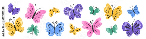 Obraz Set of color butterfly with crayon, pastel or chalk texture. Insects painted with pencil. Doodle vector illustration for child or school.