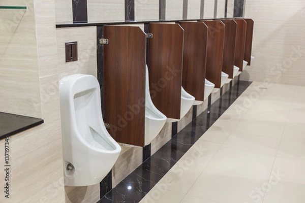 Obraz White standing urinal