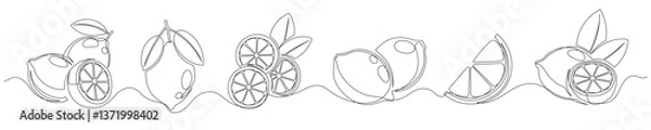 Fototapeta Lemon continuous one line drawing set isolated on a white background. Editable stroke. Outline lemon citrus collections. Horizontal banner. Vector illustration