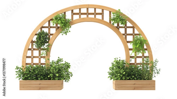 Obraz A Japanese cedar moon gate trellis with integrated plant holders along the curved frame, isolated on white background
