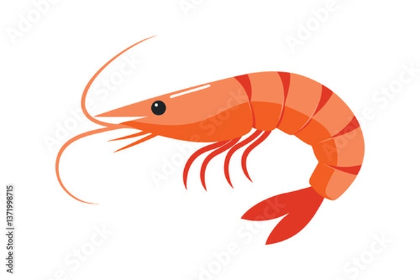 Obraz shrimp isolated on white background