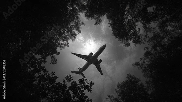 Fototapeta Airplane flying overhead viewed from below through tree branches in monochrome photography style