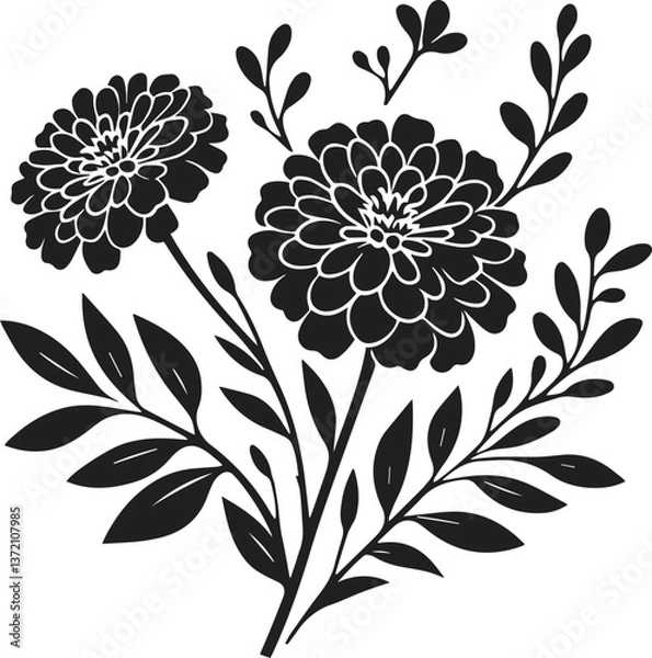 Obraz Black marigold flower silhouette vector