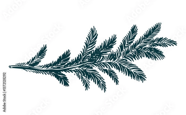 Fototapeta A green fir branch on a white background hand drawn	
