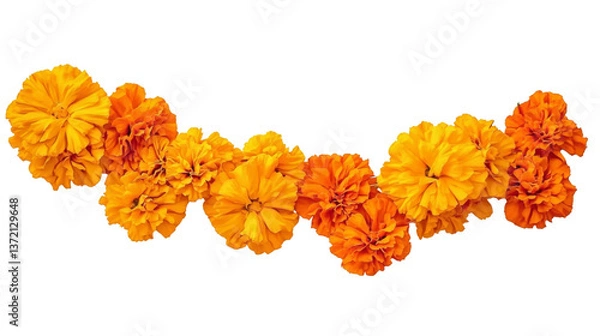 Fototapeta Orange Marigold Flower Garland, Isolated on Transparent Background, Floral Design Element, Day of the Dead, Marigold, Floral arrangement, Dia de los Muertos