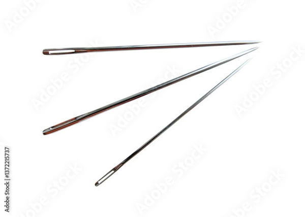 Obraz isolated steel sewing needle