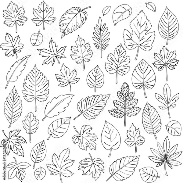 Fototapeta seamless pattern with leaves