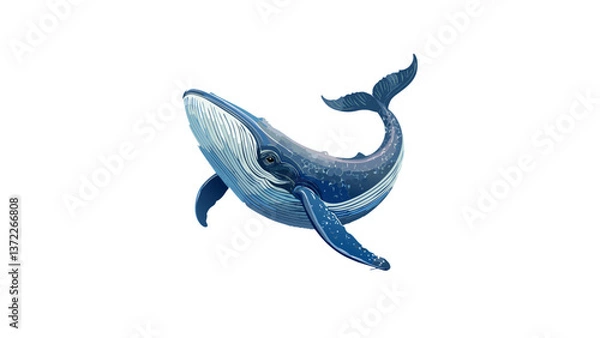 Obraz whale