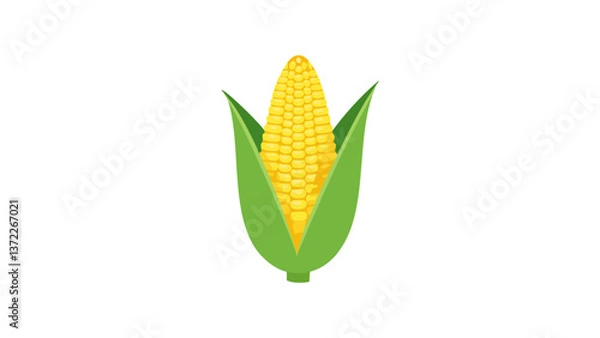 Obraz Corn