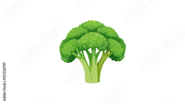 Obraz broccoli on a white background