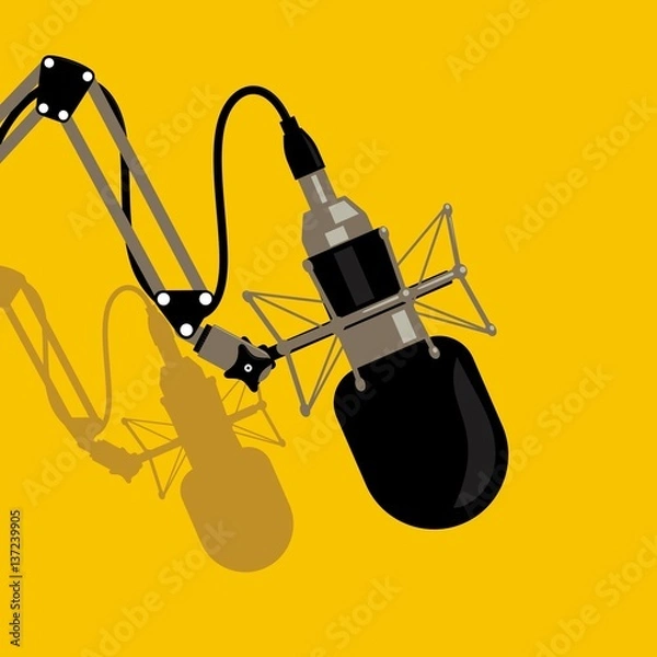 Fototapeta Studio microphone
