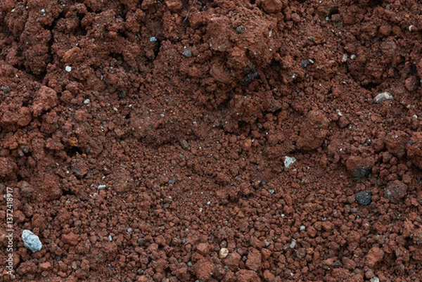 Fototapeta Close up Macro Shot Highlighting Rich Texture of Soil With Minerals and Small Stones in a Natural Setting