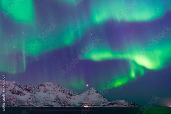 Fototapeta Northern lights above snow covered mountains including Klubbnesviktinden in Oksfjorden in Finnmark, Northern Norway on 23 March 2025.