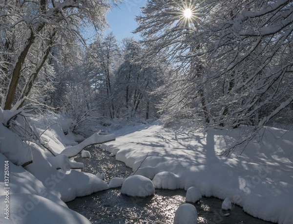 Obraz Winter wonderland