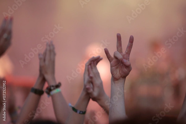 Obraz Hände von Zuschauern/Fans in der Luft auf einem Live Konzert