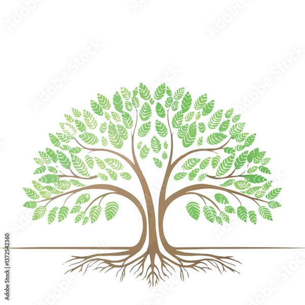 Fototapeta Beautiful green tree silhouette and vector design.