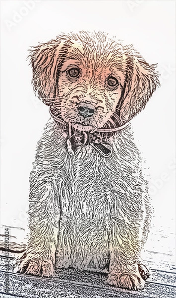 Fototapeta A puppy dog in the park has a ribbon on its neck