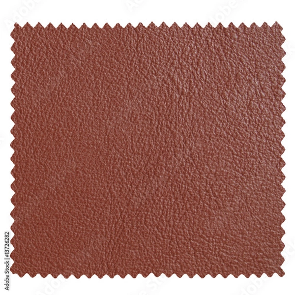 Obraz Leather sample