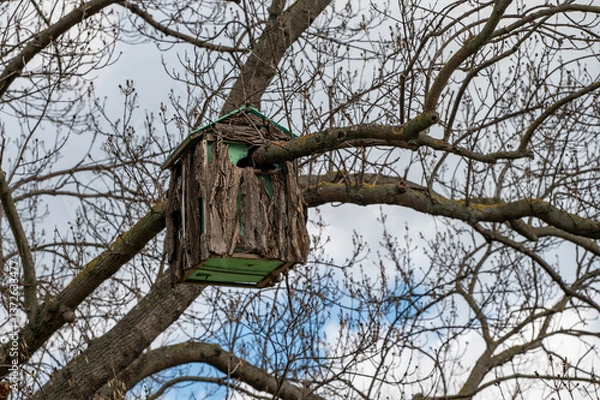 Fototapeta a rustic birdhouse hanging in a bare tree