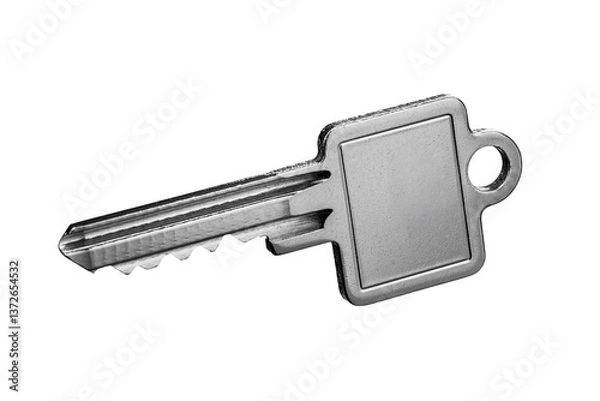Obraz Isolated Key