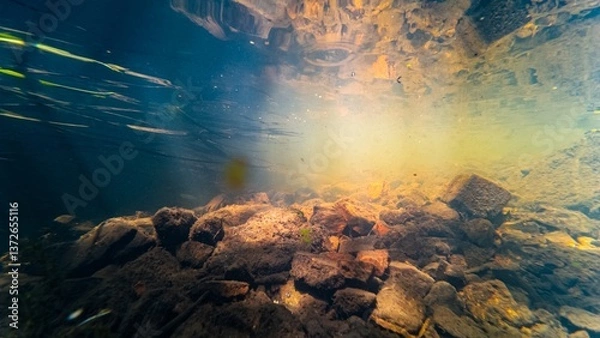 Fototapeta pollution of fast flow river Buher in Lityn, sun ray in low visibility dirty water, shallow riverbed, surface reflection underwater, organic silt sediment substrate, human brick garbage background