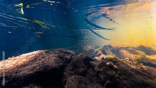 Fototapeta fast flow river Buher in Lityn pollution, sun ray in low visibility dirty water, shallow riverbed, surface reflection underwater, organic silt sediment substrate, pondweed in human garbage background