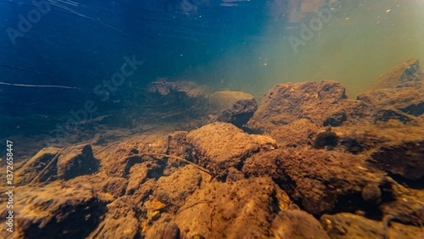Fototapeta human brick garbage, sun ray in low visibility dirty fast flow riverbed, surface reflection underwater, organic silt sediment substrate, shallow river Buher in Lityn pollution, marsh plant submersed