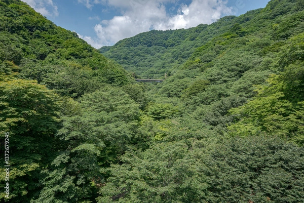 Fototapeta 緑に映える碓氷峠
