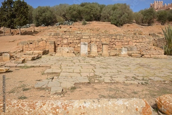 Obraz Site of the Roman Sala, with Forum, Decumanus,fountain, triumphal arch,Baths. Shelter of storks in the breeding season. After centuries of abandonment, it became the necropolis of the Merinid dynasty