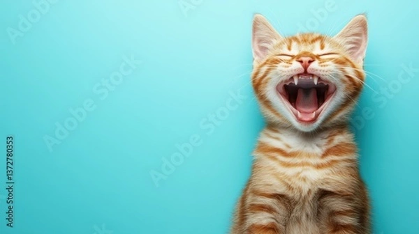 Obraz Laughing ginger kitten on turquoise background
