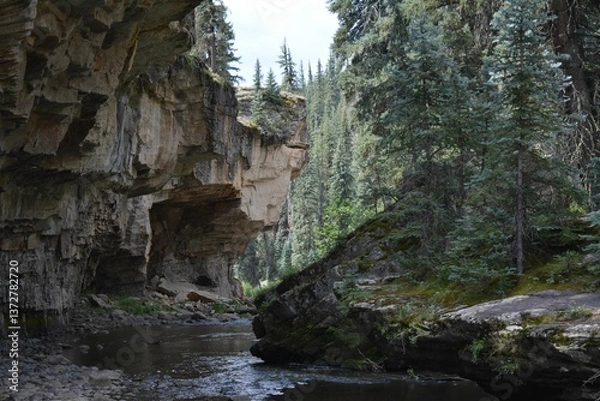 Obraz waterfall in the forest