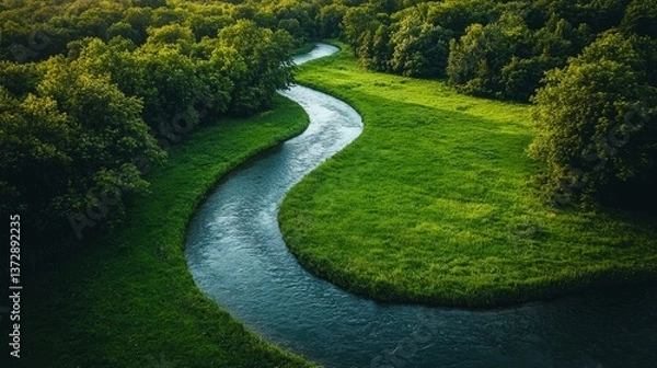 Fototapeta A river running through a lush green forest
