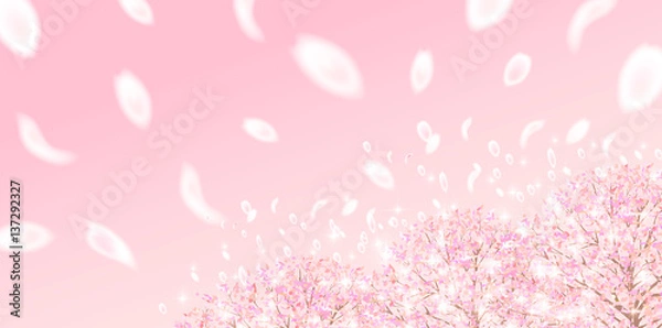 Fototapeta 桜　春　花　背景