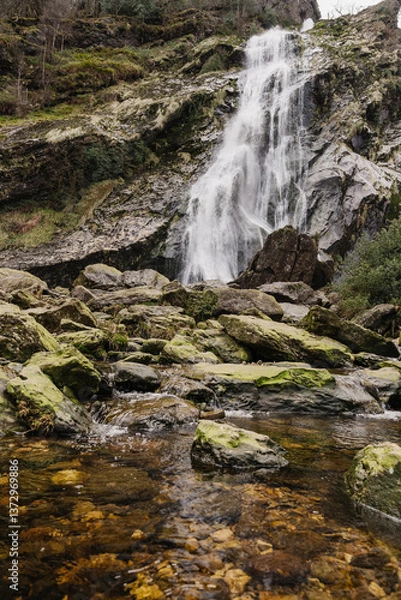 Fototapeta Powerscourt Waterfall in Ireland